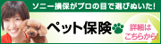 ソニー損保がプロの目で選びぬいた！　ペット保険　詳細はこちらから