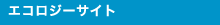 �G�R���W�[�T�C�g