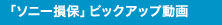 �u�\�j�[���ہv�s�b�N�A�b�v����