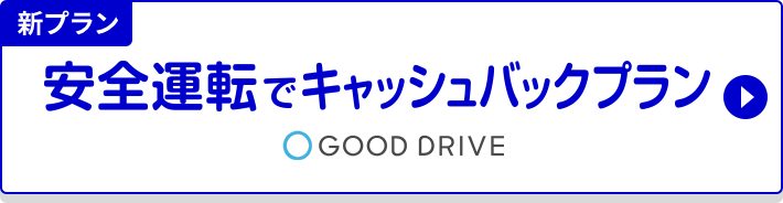 S^]ŃLbVobNv@GOOD DRIVE