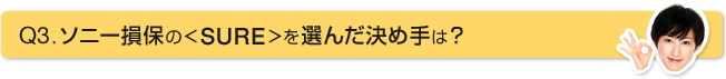 Q3.�\�j�[���ۂ�SURE��I�񂾌��ߎ�́H