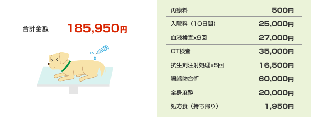 再療料:500円 入院料(10日間):25,000円 血液検査×9回:27,000円 CT検査:35,000円 抗生剤注射処理×5回:16,500円 腸端吻合術:60,000円 全身麻酔:20,000円 処方食(持ち帰り):1,950円 合計:185,950円