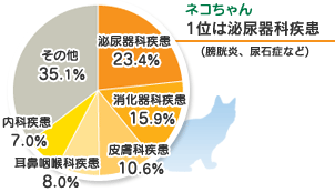 ネコちゃん 1位は泌尿器科疾患(膀胱炎・尿石症など) 泌尿器科疾患:23.4% 消化器科疾患:15.9% 皮膚科疾患:10.6% 耳鼻咽喉科疾患:8.0% 内科疾患:7.0% その他:35.1%