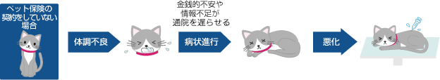 ペット保険の契約をしていない場合|【体調不良】→金銭的不安や情報不足が来院を妨げる【病状進行】→【悪化】