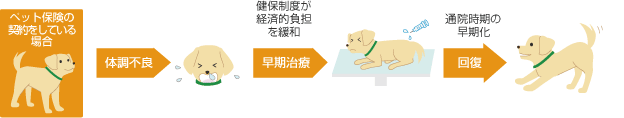 ペット保険の契約をしている場合|【体調不良】→健保制度が経済的制度を緩和【早期治療】→来院時期の早期化【回復】
