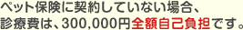 �y�b�g�ی��ɖ������̏ꍇ�A���Ô�́A300,000�~�S�z���ȕ��S�ł��B