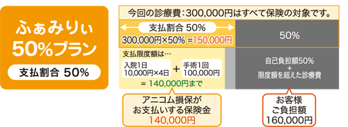 �ӂ��݂股50���v�����i�x������50���j�b����̐f�Ô�00,000�~�͂��ׂĕی��̑Ώۂł��B �� �x��������50���ł��̂�300,000�~�~50����150,000�~ �� �x�����x�z�́A���@1��10,000�~�~4���{��p1��100,000�~��140,000�܂� �� ����ăA�j�R�����ۂ����x������ی�����140,000�~�ł��B���q�l�����S�z�́A���ȕ��S�z50���{���x�z�𒴂����f�Ô160,000�~�ł��B