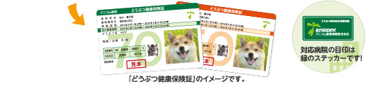 「どうぶつ健康保険証」のイメージです。