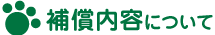 �⏞���e�ɂ���