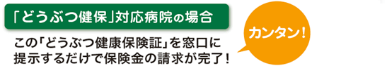 「どうぶつ健保」対応病院の場合、この「どうぶつ健康保険証」を窓口に提示するだけで保険金の請求が完了!