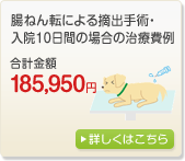 ���˂�]�ɂ��E�o��p�E���@10���Ԃ̏ꍇ�̎��Ô�� ���v���z185,950�~�b�ڂ����͂�����