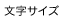�����T�C�Y