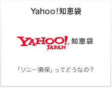 Yahoo�I�m�b�܁b�u�\�j�[���ہv���Ăǂ��Ȃ́H