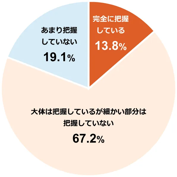 円グラフ:完全に把握している13.8%/大体は把握しているが細かい部分は把握していない67.2%/あまり把握していない19.1%