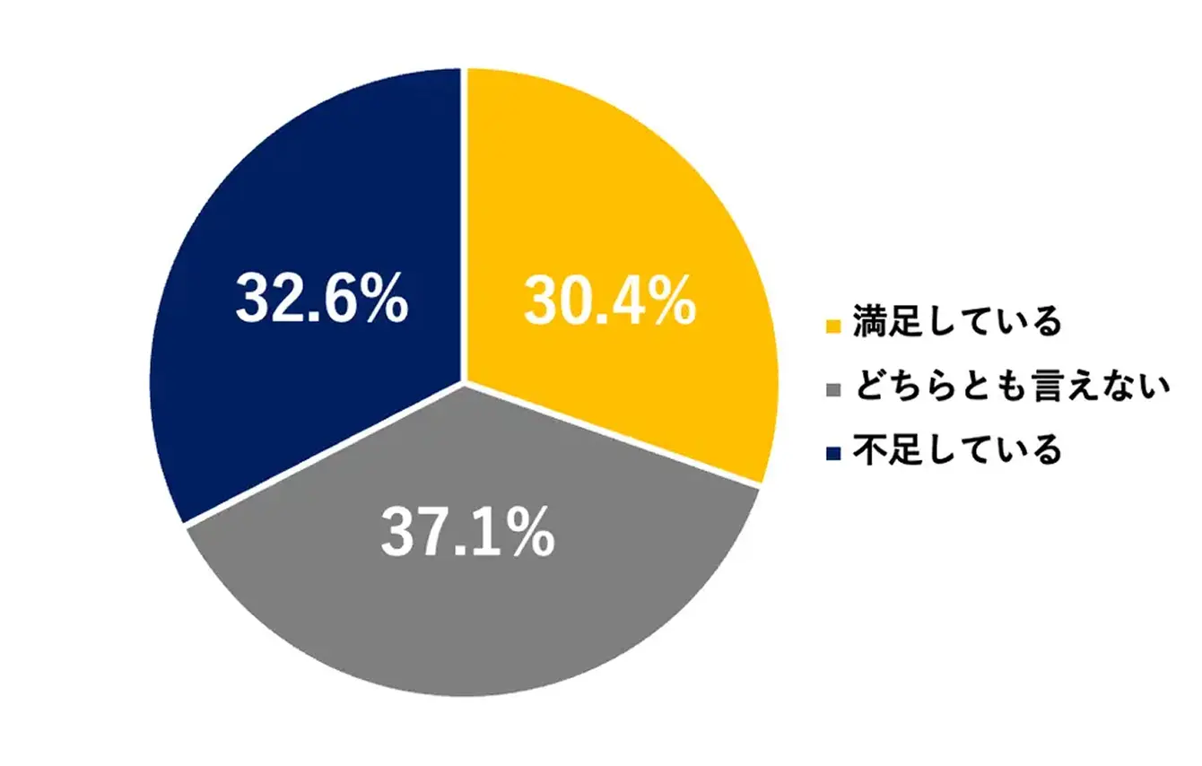 ���݂̂��������z�ւ̖����x�B�������Ă���30.4%�A�ǂ���Ƃ������Ȃ�37.1%�A�s�����Ă���32.6%