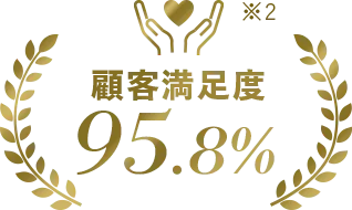 ڋqx95.8%