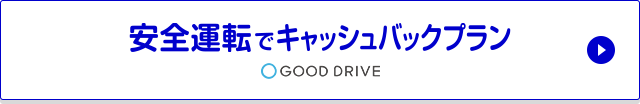 S^]ŃLbVobNv@GOOD DRIVE