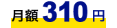 z310~