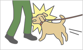 飼い犬が他人を噛んでケガをさせた