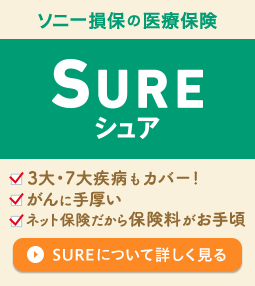 \j[ۂ̈Õی SURE VA 3厾aE7吶KaJo[I Ɏ lbgیی荠 SUREɂďڂ