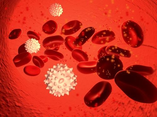 血管中を流れる赤血球・白血球・血小板