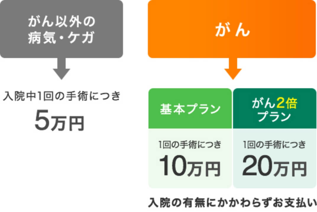 手術保険金