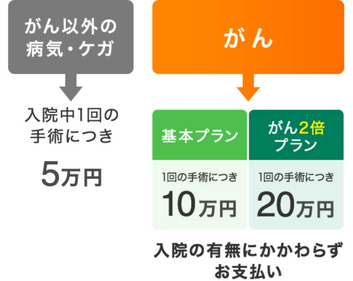 手術保険金