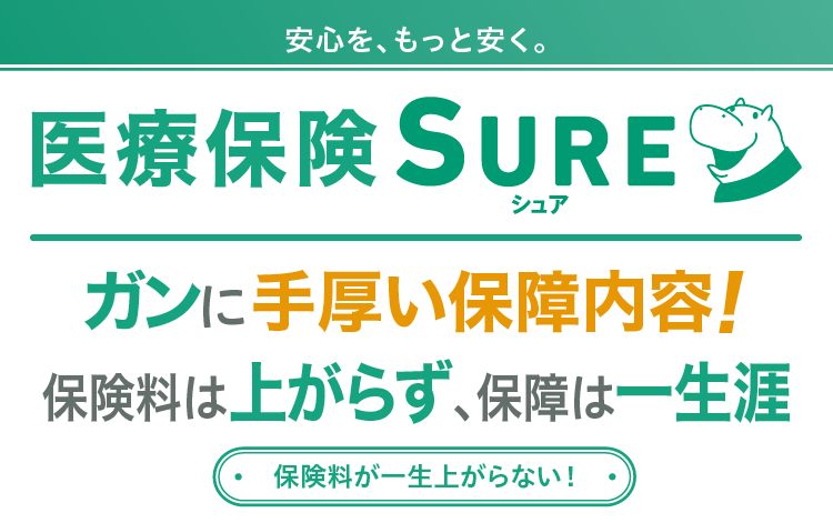 ソニー損保】阿部寛さんが事故現場の救世主に、内田有紀さんが