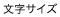 文字サイズ